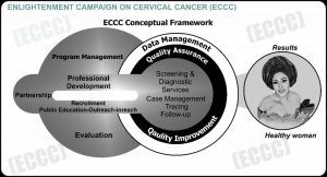 conceptual framework