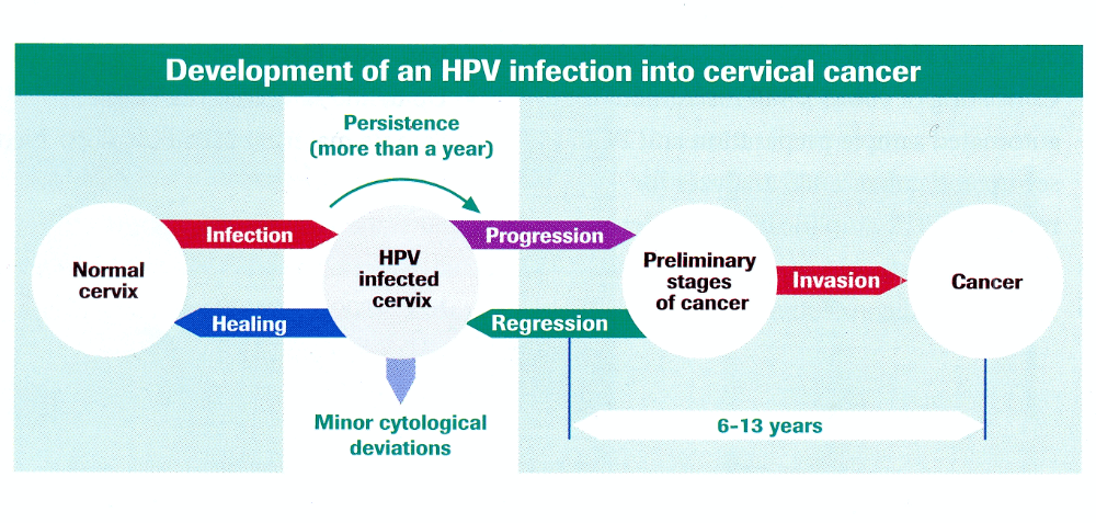 HPV Risks